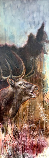 50 x 150 cm
