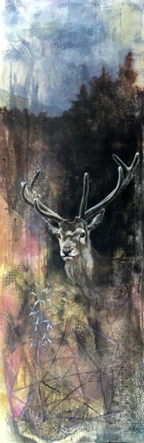 50 x 150 cm